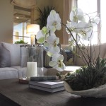 coastal sofa and accessories_horizontal